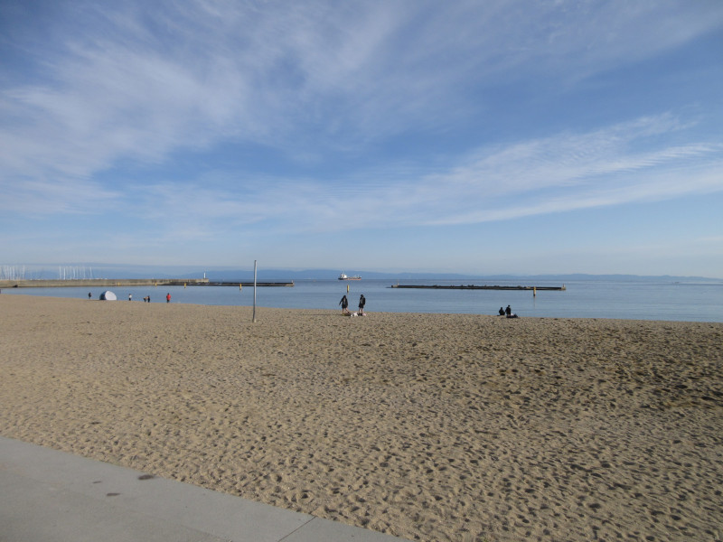 �{���C�� 2024