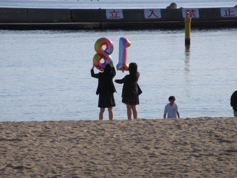 �{���C�� 2024