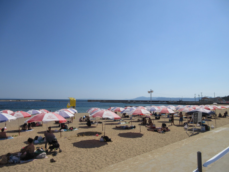 �Ă͂���ς�{���C�� 2024