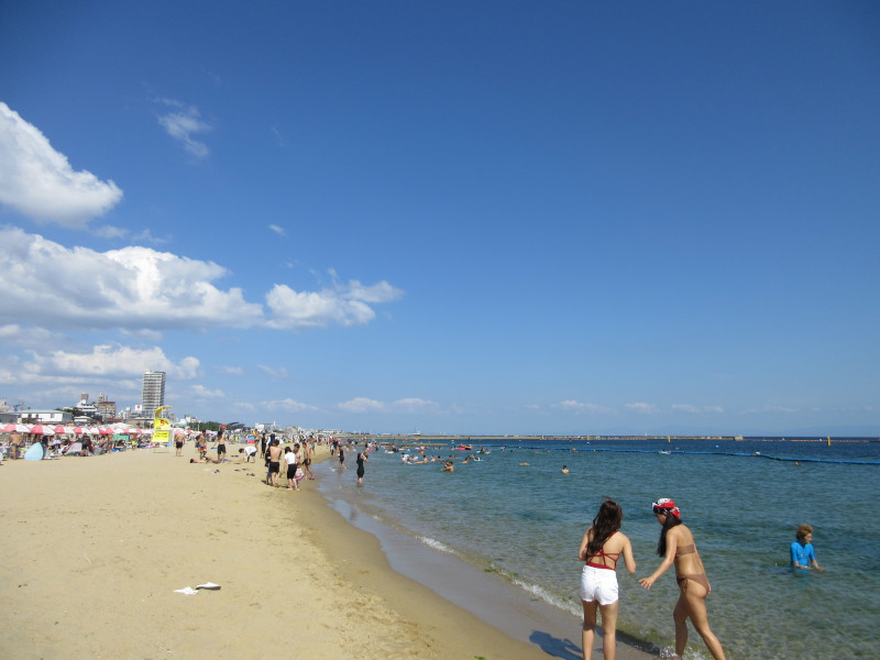 �Ă͂���ς�{���C�� 2024