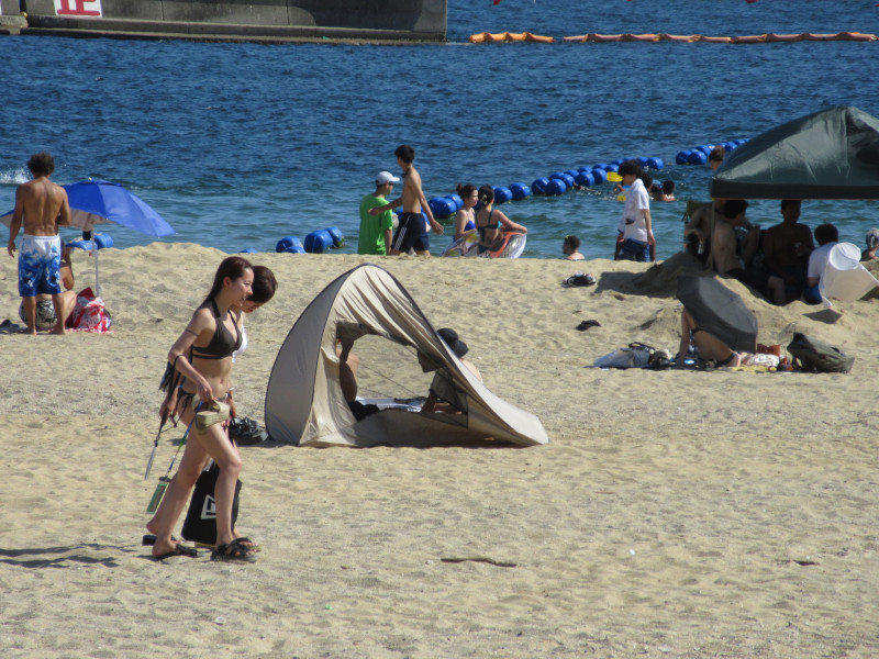 �Ă͂���ς�{���C�� 2024