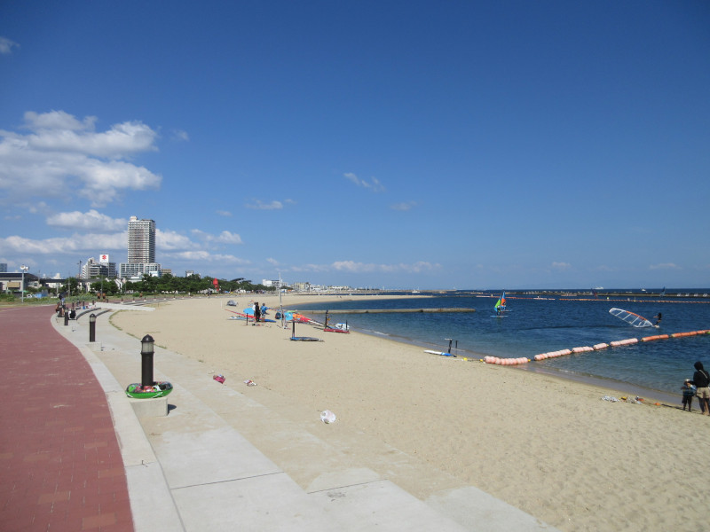 �Ă͂���ς�{���C�� 2024