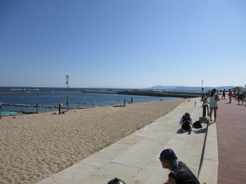 �Ă͂���ς�{���C�� 2024