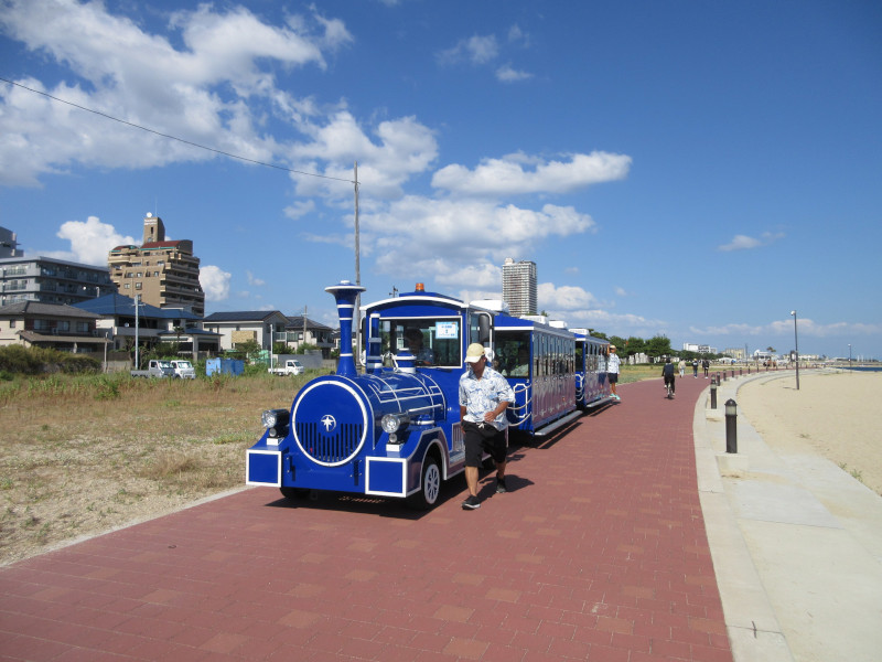 �Ă͂���ς�{���C�� 2024