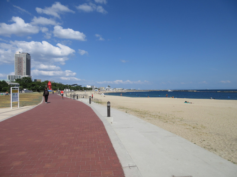 �Ă͂���ς�{���C�� 2024