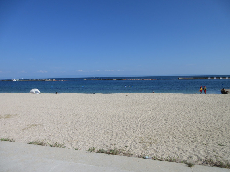 �Ă͂���ς�{���C�� 2024