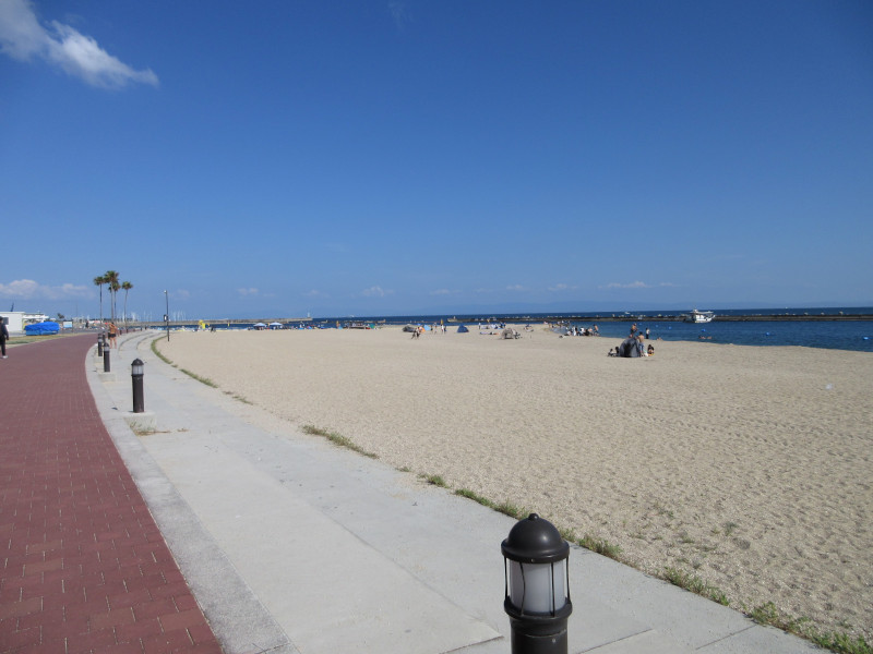 �Ă͂���ς�{���C�� 2024