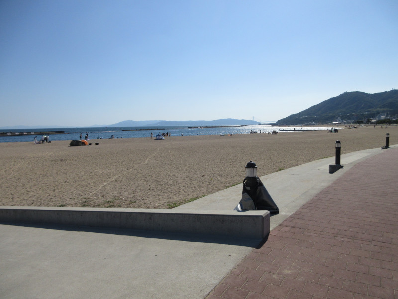 �Ă͂���ς�{���C�� 2024