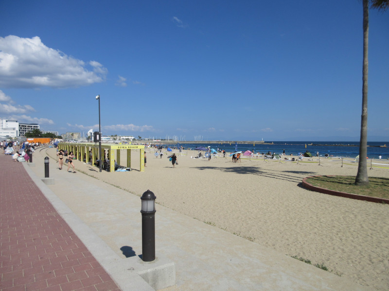 �Ă͂���ς�{���C�� 2024