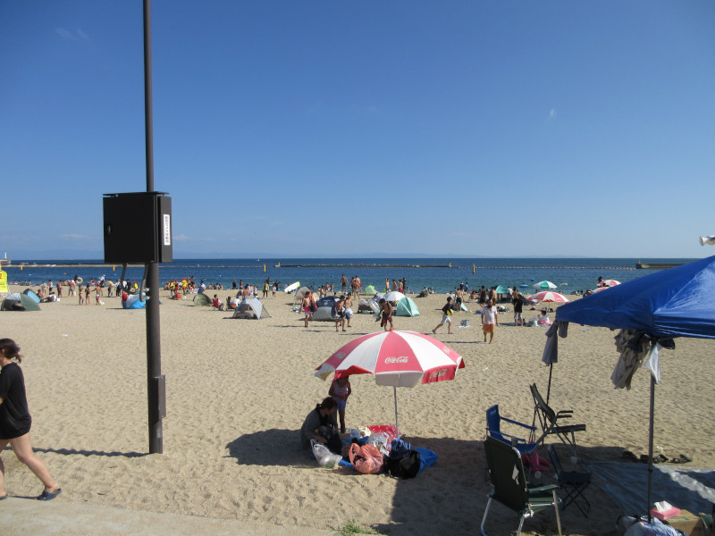 �Ă͂���ς�{���C�� 2024