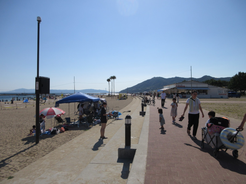 �Ă͂���ς�{���C�� 2024