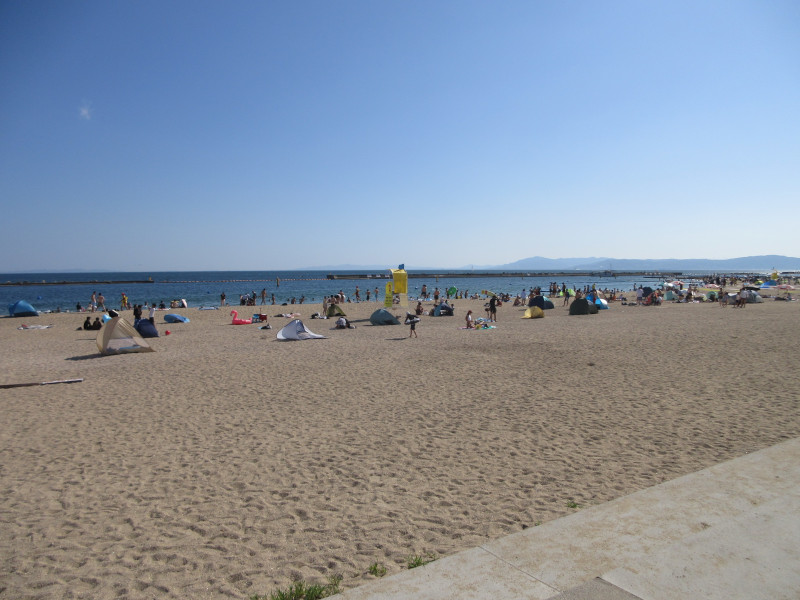 �Ă͂���ς�{���C�� 2024