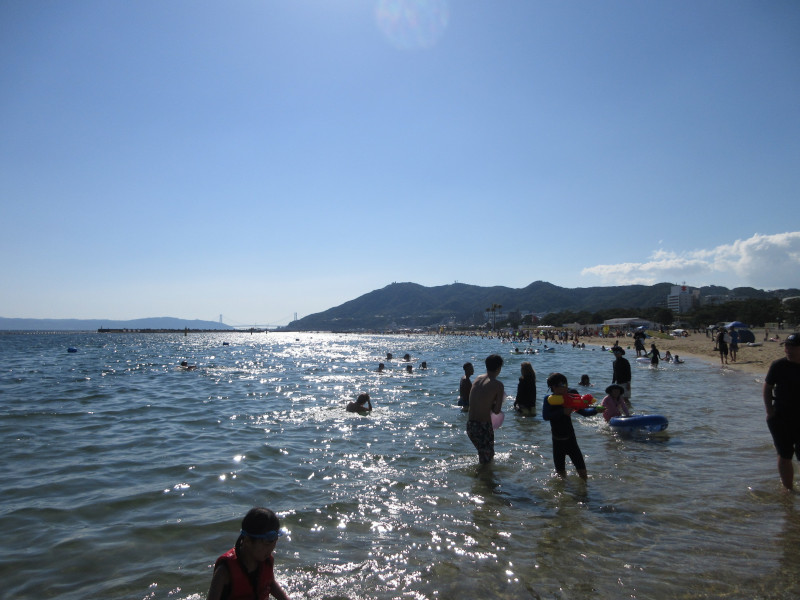 �Ă͂���ς�{���C�� 2024