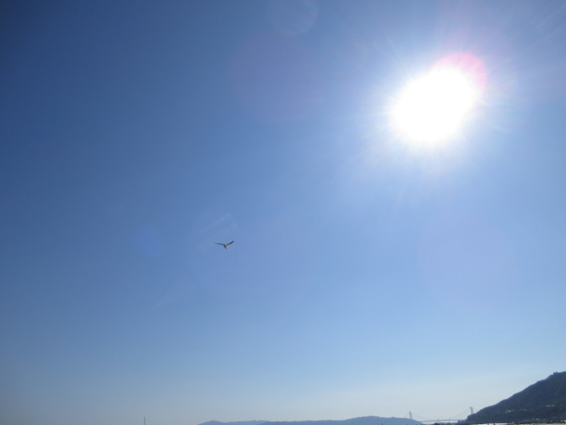 �Ă͂���ς�{���C�� 2024