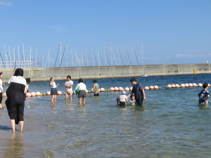 �Ă͂���ς�{���C�� 2024