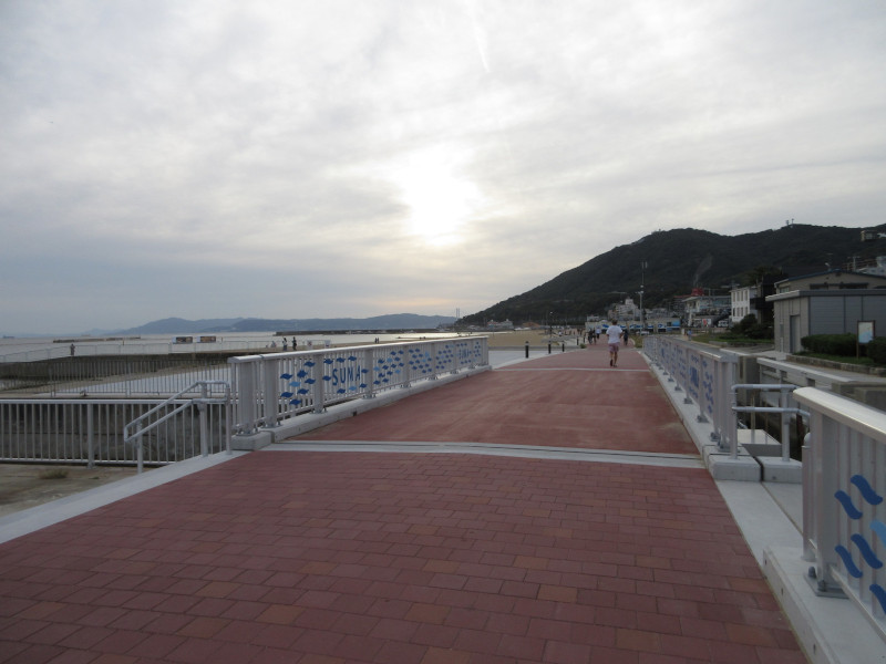 ���ی�E�{���r�[�`