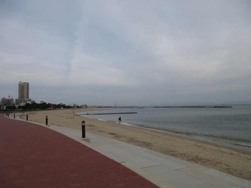 ���ی�E�{���r�[�`