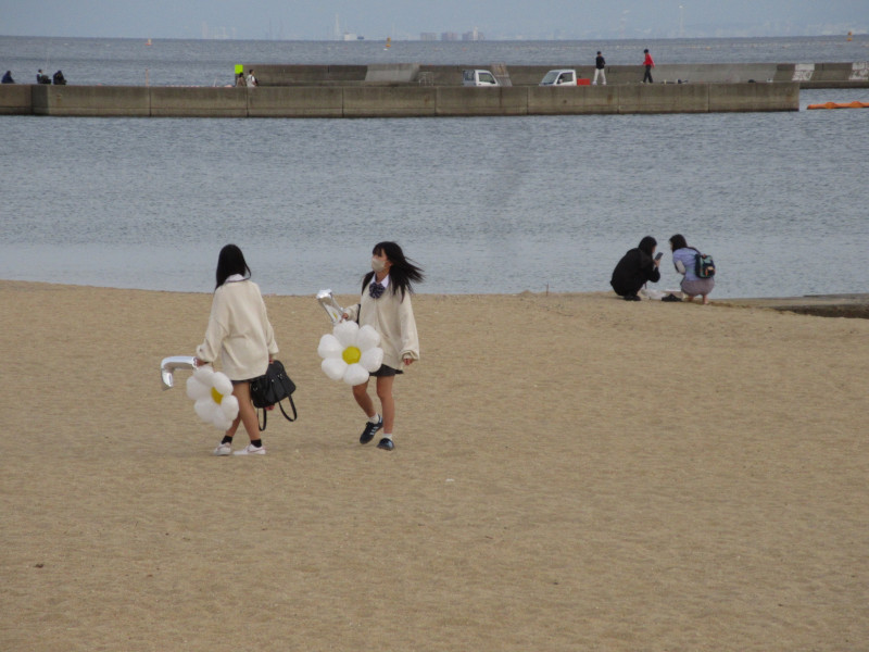 ���ی�E�{���r�[�`