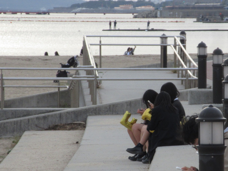 ���ی�E�{���r�[�`