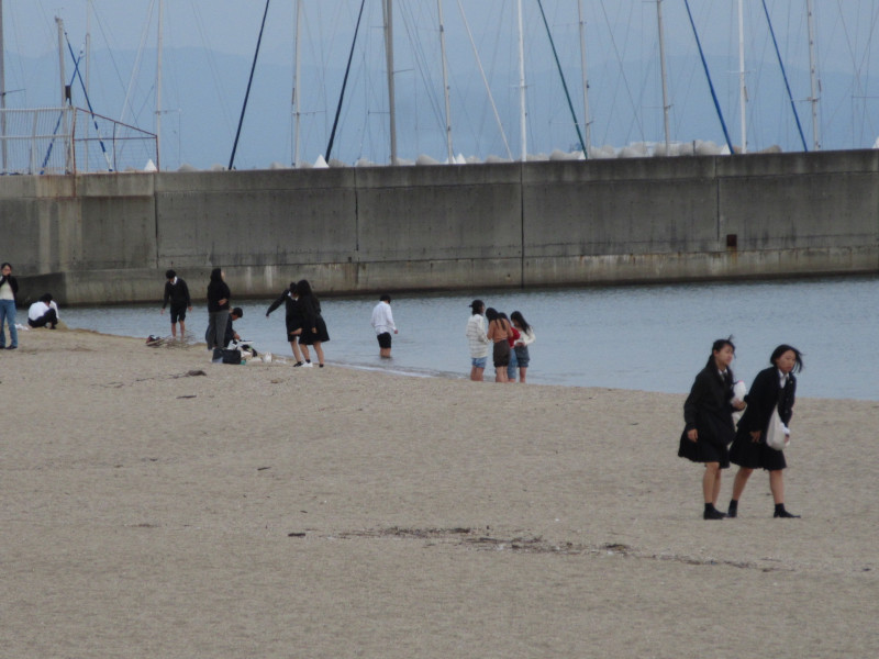 ���ی�E�{���r�[�`