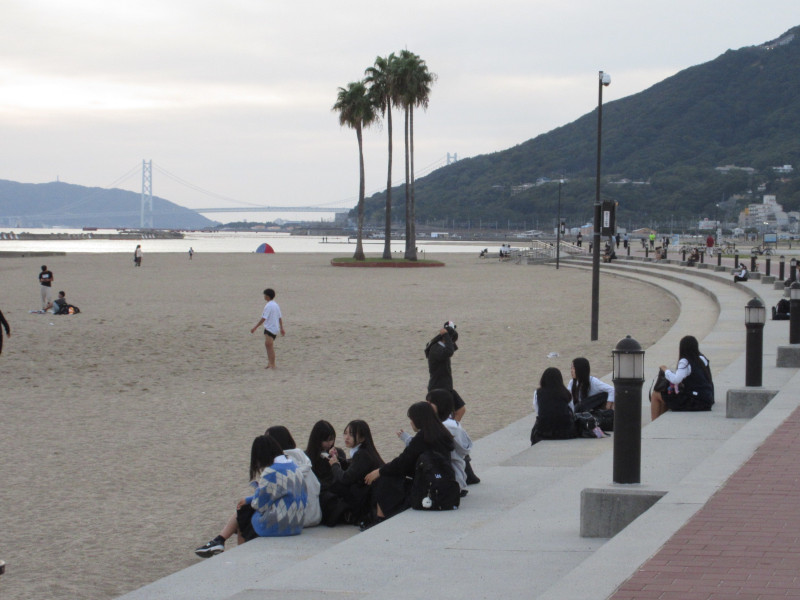 ���ی�E�{���r�[�`