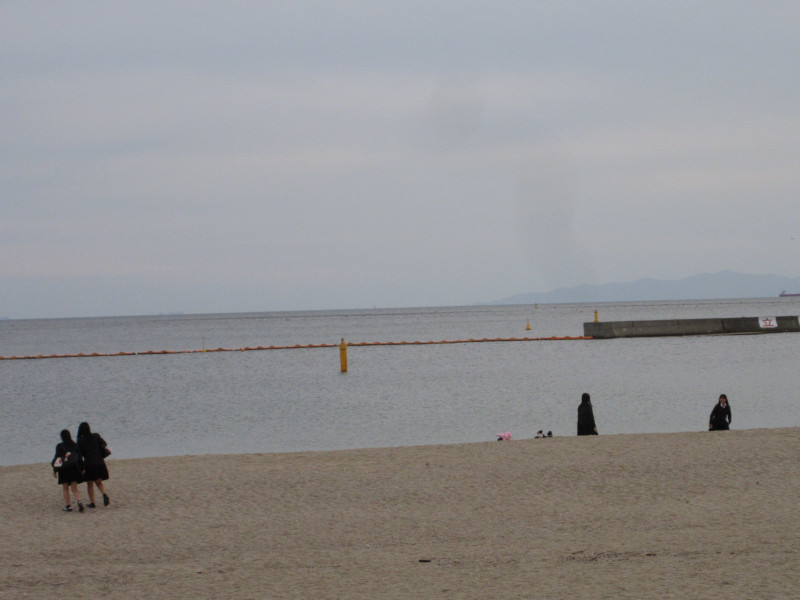 ���ی�E�{���r�[�`