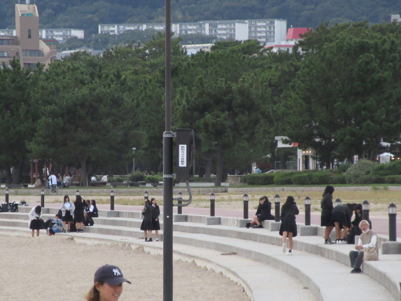 ���ی�E�{���r�[�`