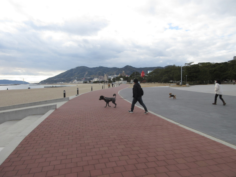 �����Ă��{���r�[�` 2025