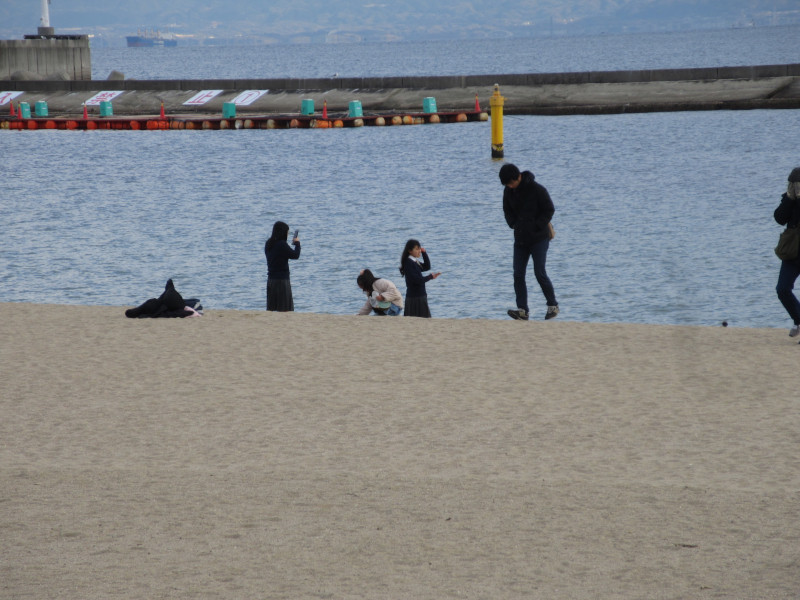 �����Ă��{���r�[�` 2025