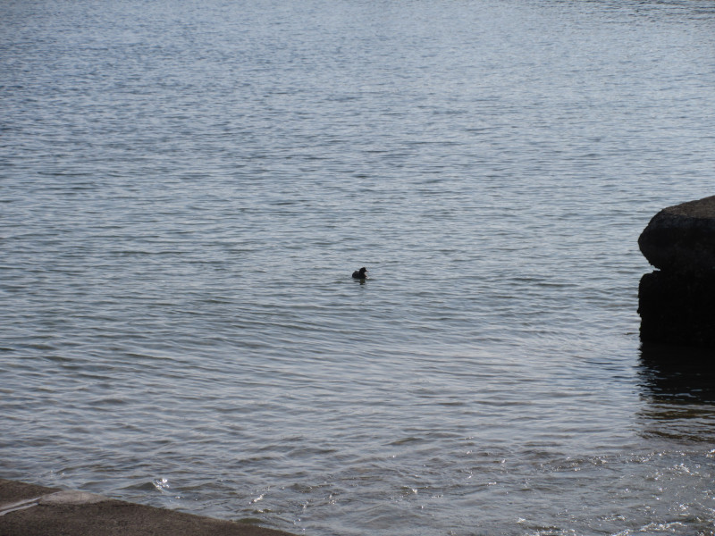 �C�̋G�߂�����Ă��� 2025