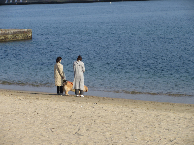 �C�̋G�߂�����Ă��� 2025