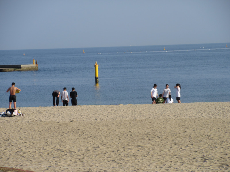 �C�̋G�߂�����Ă��� 2025