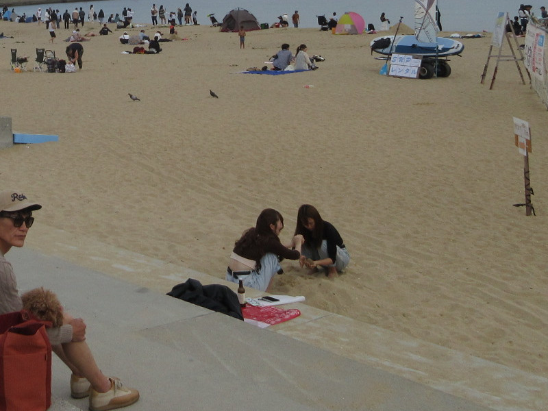 �{���r�[�`�ŗV�ڂ�