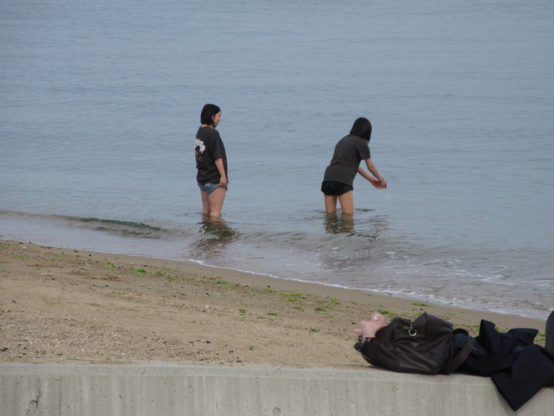 �{���r�[�`�ŗV�ڂ�