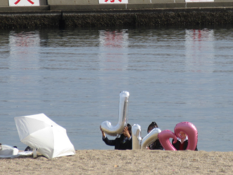 �{���r�[�`�ŗV�ڂ�