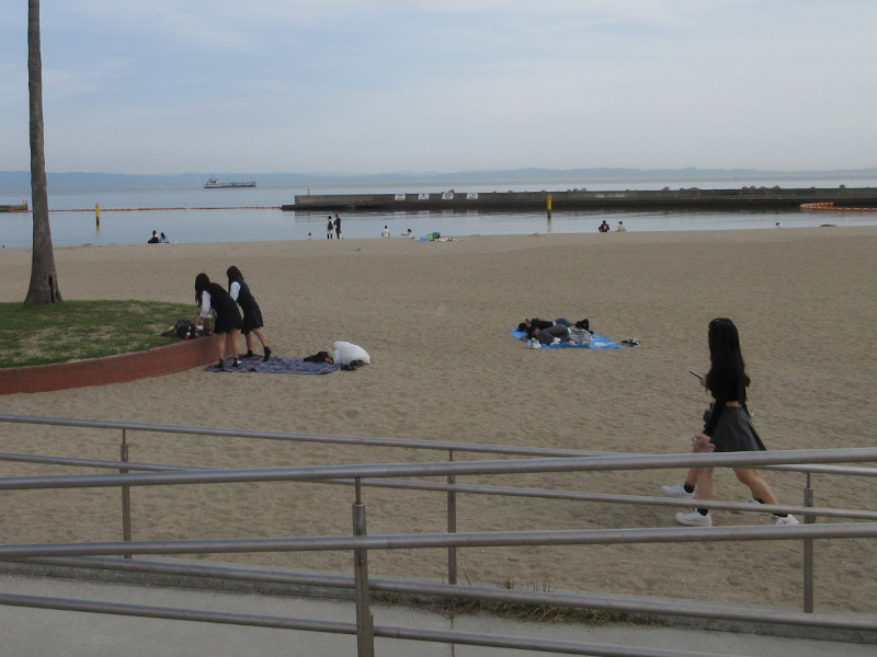 �{���r�[�`�ŗV�ڂ�