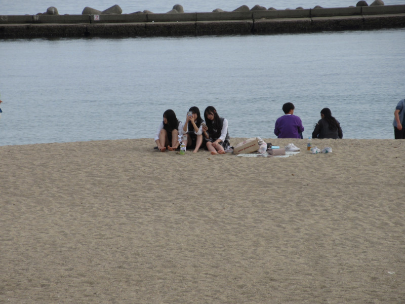 �{���r�[�`�ŗV�ڂ�