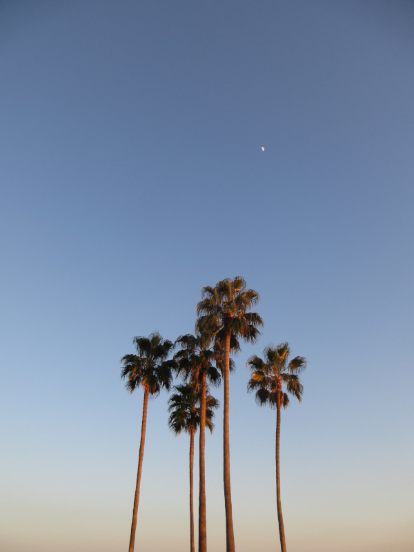 2025年 ラスト須磨ビーチ