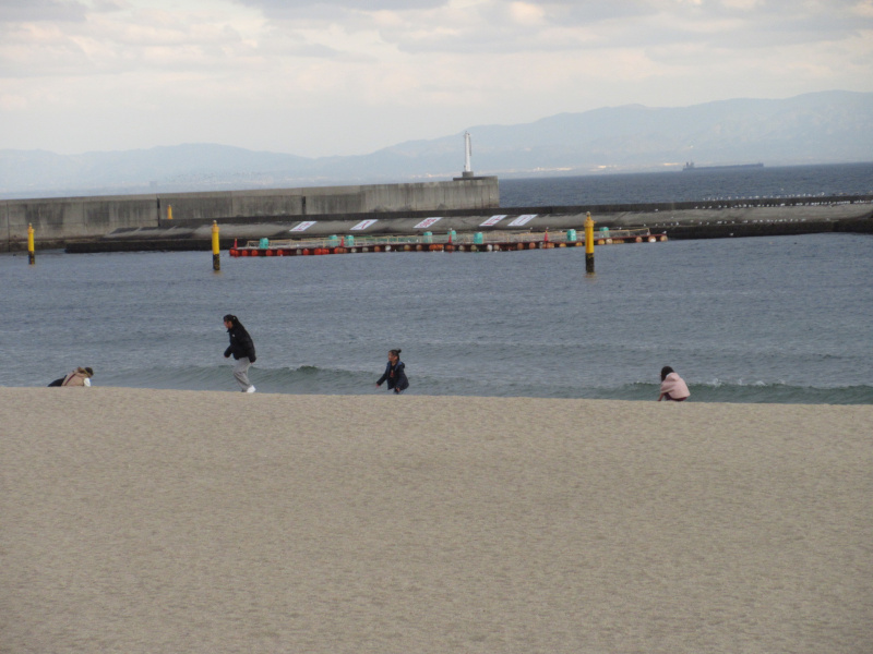 2026�N ���{���r�[�`