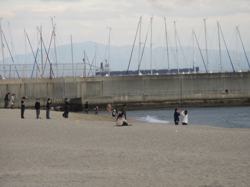 2026�N ���{���r�[�`