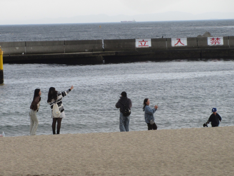 2026�N ���{���r�[�`