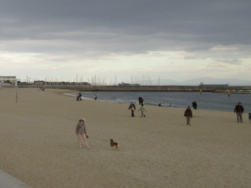 2026�N ���{���r�[�`