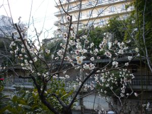 ���c�_��(2013.02.28)