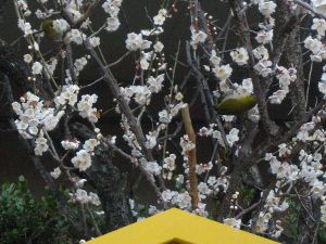 ���c�_��(2013.02.28)