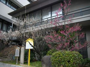 ���c�_��(2013.03.07)