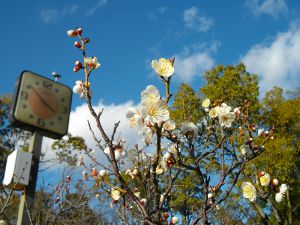 ��q�R����(2013.02.16)