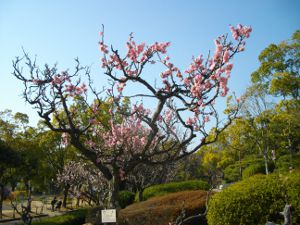 ��q�R����(2013.03.09)