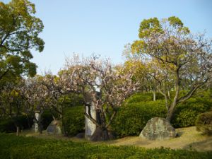 ��q�R����(2013.03.16)