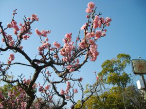 ��q�R����(2013.03.09)