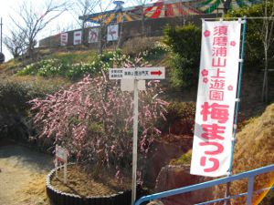 �{���R��V��(2013.03.11)